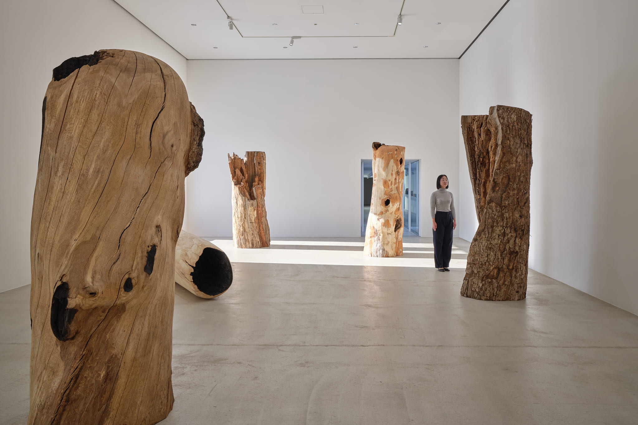 国松希根太 連鎖する息吹